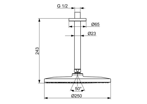 Hansa Hansaviva Kopfbrause Ø 25cm, für Deckenmontage, schwenkbar, chrom