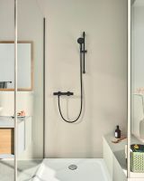 Vorschau: Grohe Tempesta 110 Handbrause 2-strahlig, 6,1 l/min, matt black