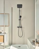 Vorschau: Grohe Tempesta Cube 110 Handbrause 2-strahlig, 7,4 l/min, matt black