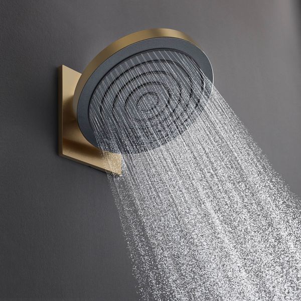 Hansgrohe Pulsify S Kopfbrause 260 EcoSmart, 1jet, ohne Brausearm, brushed bronze