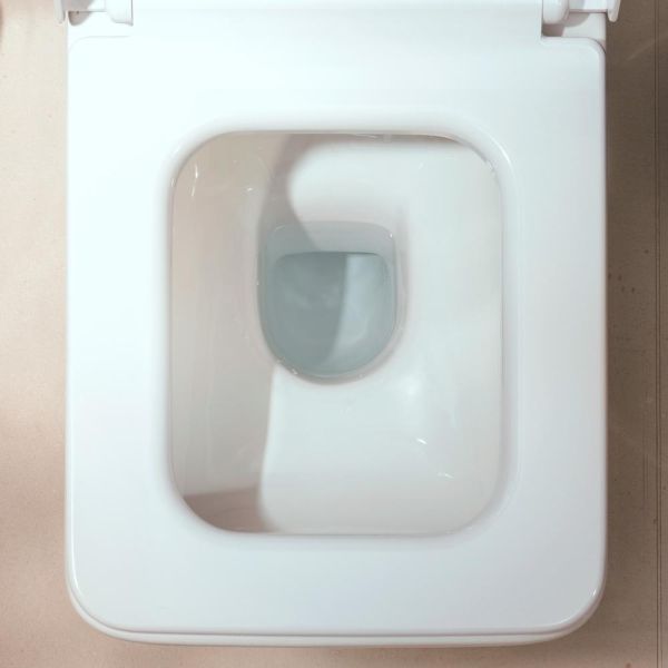 Hansgrohe EluPura Original Q Stand WC für Spülkasten, Softcube, weiß